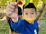 圖片1