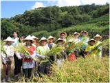 參與戶外食農教育種稻計畫[尊師、種稻、慶豐收」活動